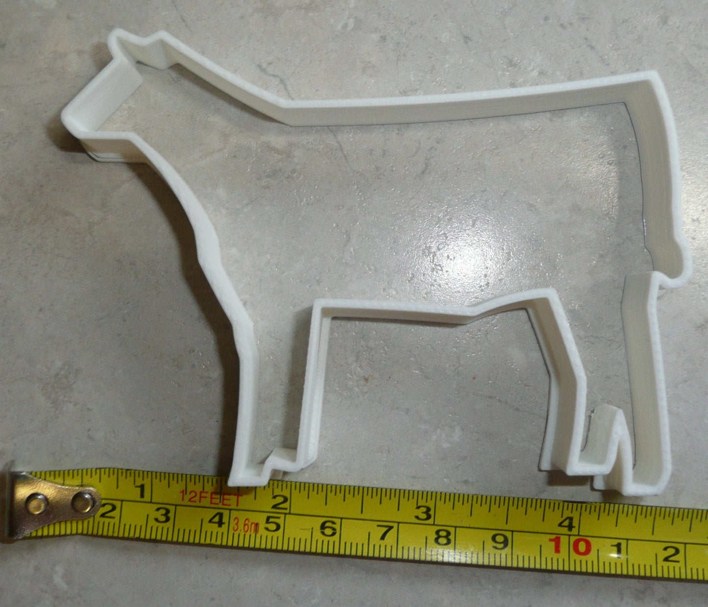 Show Steer Outline Cow Farm Animal Livestock Cookie Cutter Made In USA PR2435