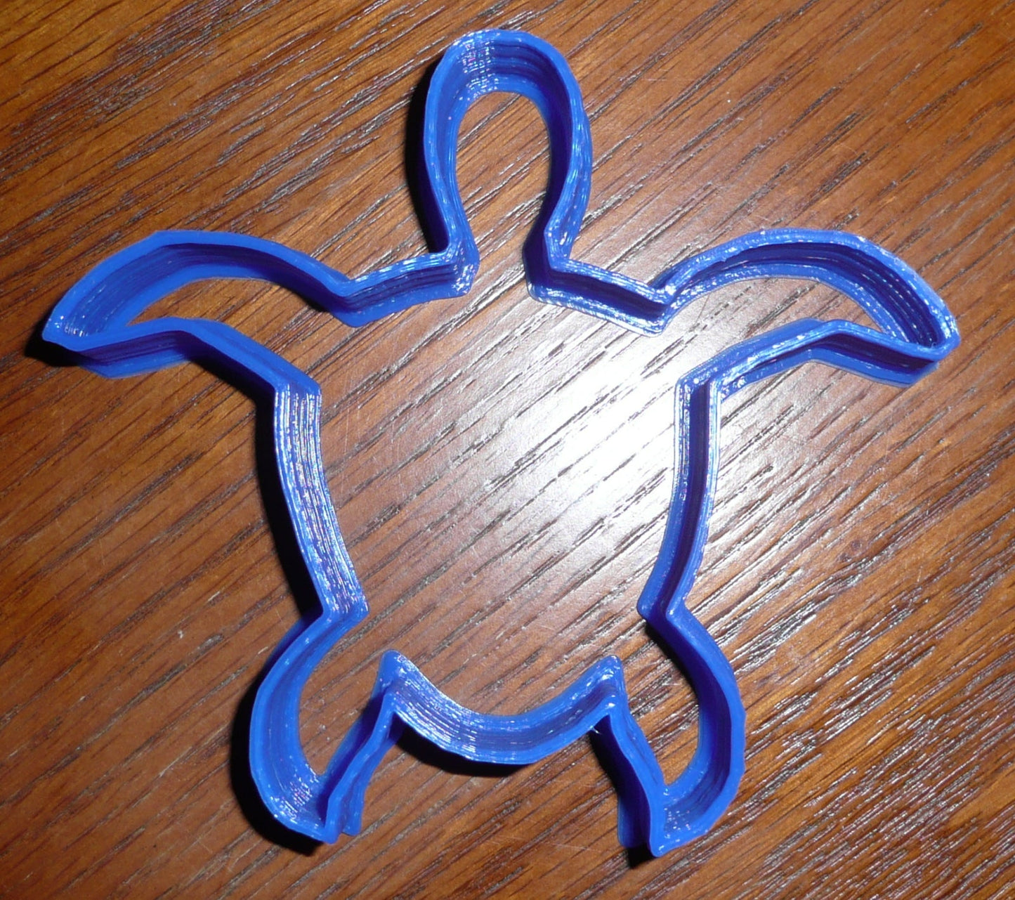 Turtle Sea Reptile Cookie Cutter Baking Tool Made In USA PR291
