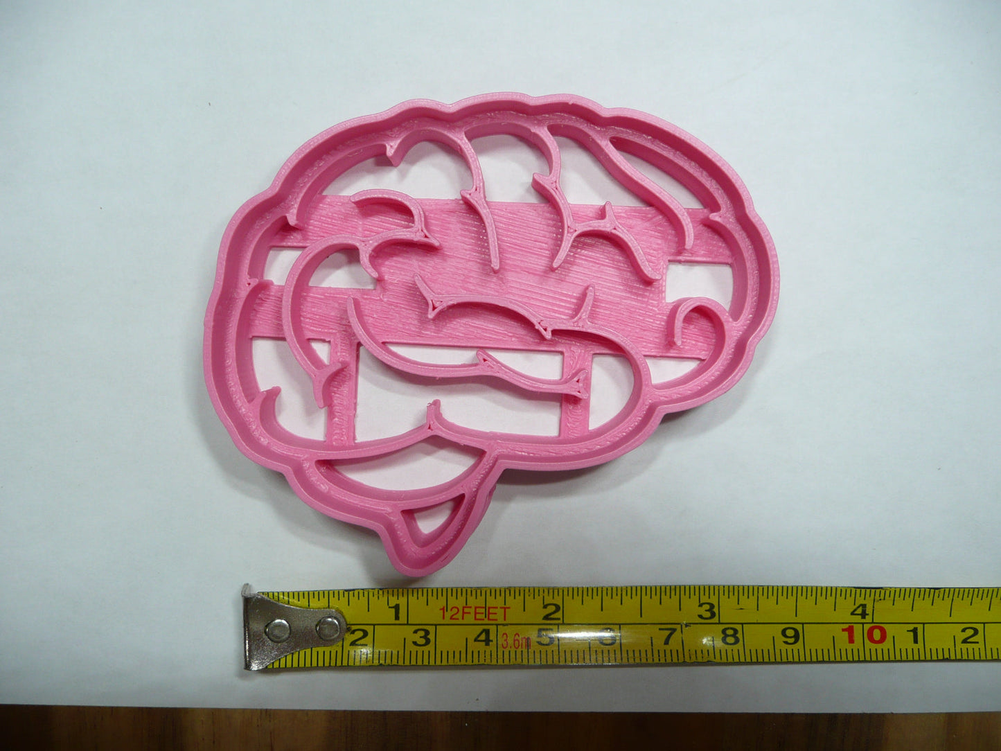 Brain Medical Theme Cookie Cutter Made In USA PR5284