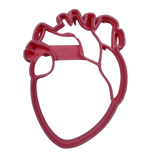 6x Anatomical Heart Fondant Cutter Cupcake Topper 1.75 IN USA FD5411