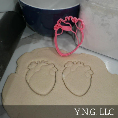 Anatomical Heart Medical Theme Cookie Cutter Made In USA PR5411