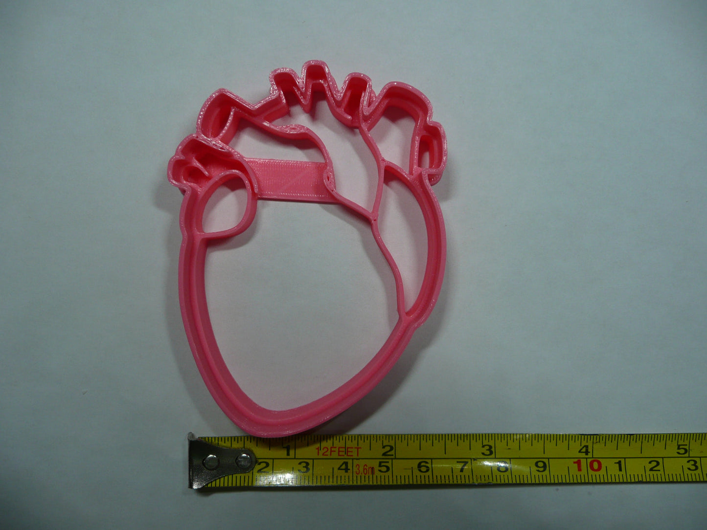 Anatomical Heart Medical Theme Cookie Cutter Made In USA PR5411