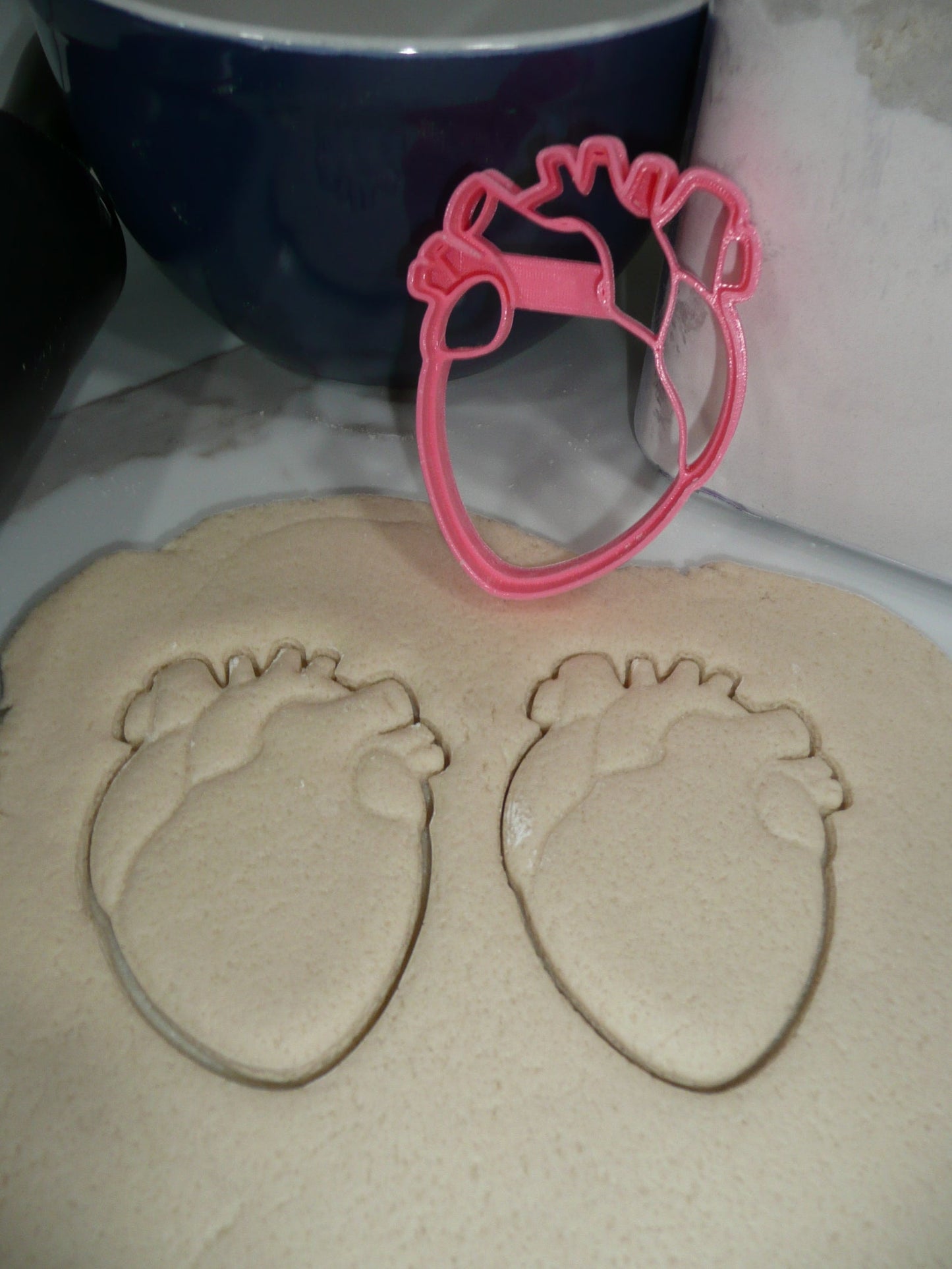 Anatomical Heart Medical Theme Cookie Cutter Made In USA PR5411