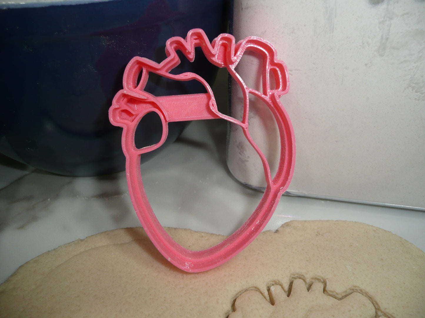 Anatomical Heart Medical Theme Cookie Cutter Made In USA PR5411
