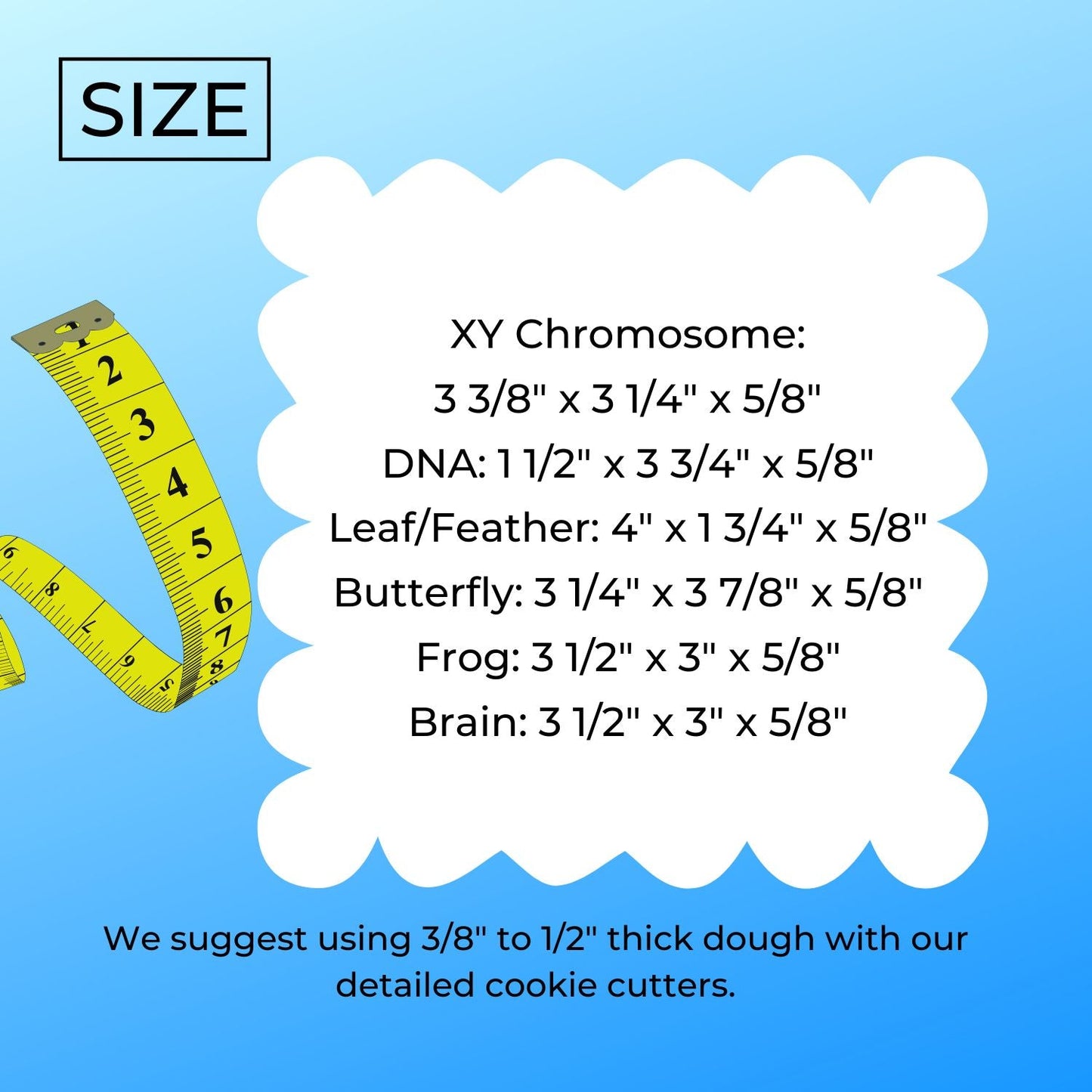 Biology Theme Chromosome DNA Brain Set Of 6 Cookie Cutters Made In USA PR9014