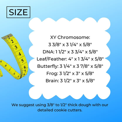 Biology Theme Chromosome DNA Brain Set Of 6 Cookie Cutters Made In USA PR9014