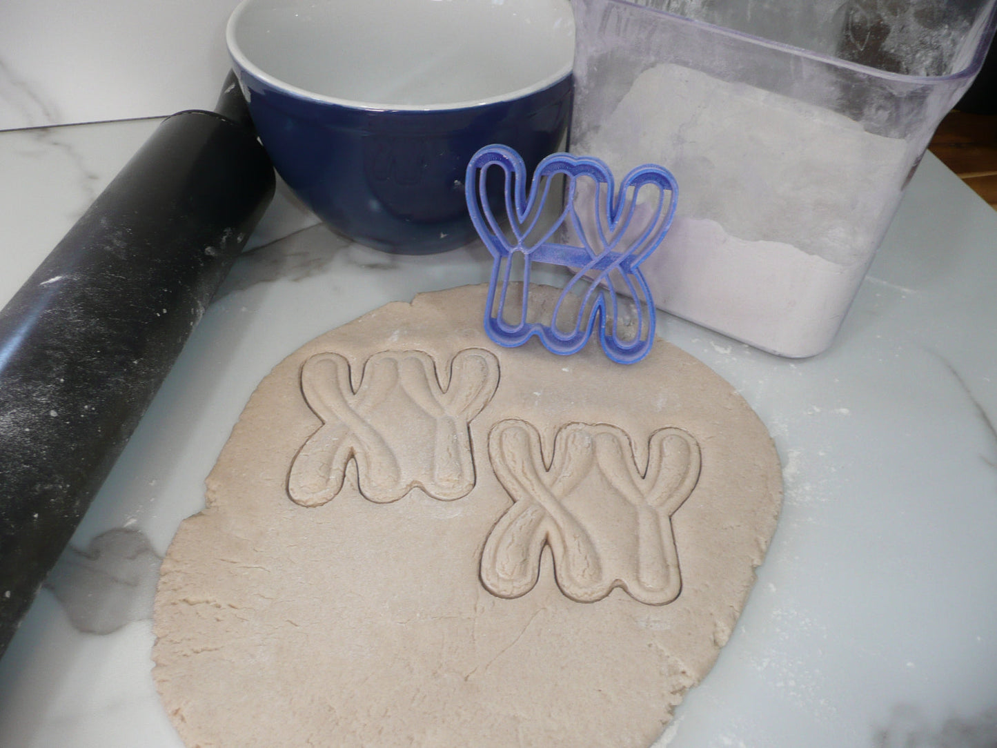 Biology Theme Chromosome DNA Brain Set Of 6 Cookie Cutters Made In USA PR9014