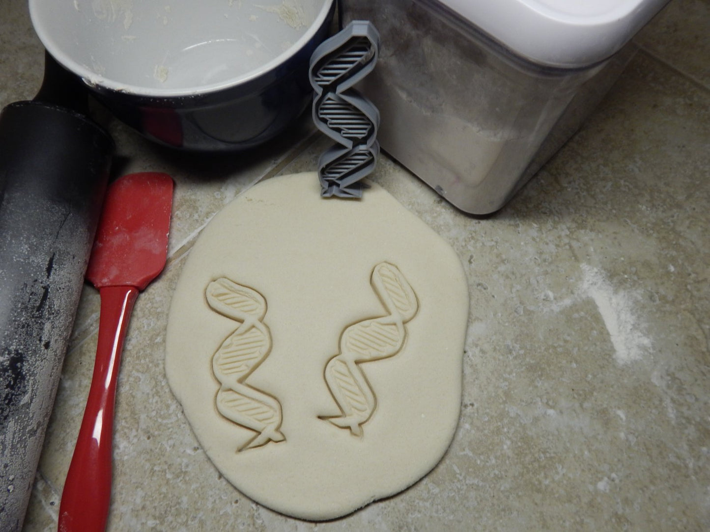 Biology Theme Chromosome DNA Brain Set Of 6 Cookie Cutters Made In USA PR9014