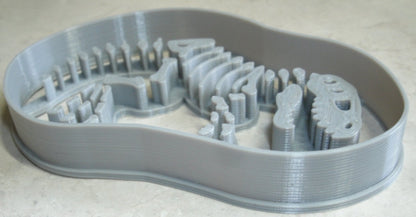 T Rex Detailed Fossil Skeleton Dinosaur Bones Cookie Cutter Made In USA PR2396