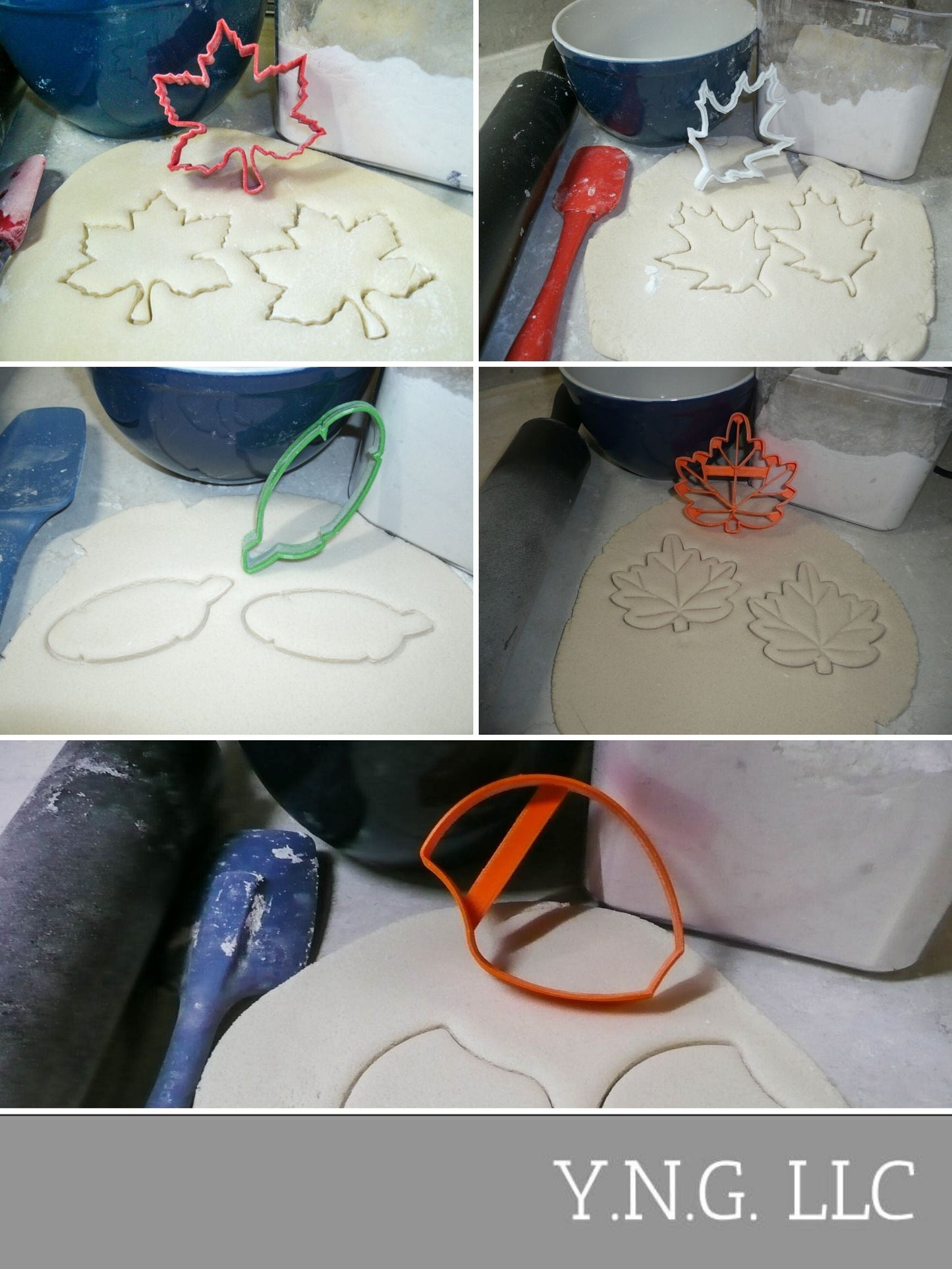 Leaves Tree Leaf Foliage Forest Trees Set Of 5 Cookie Cutters USA PR1526