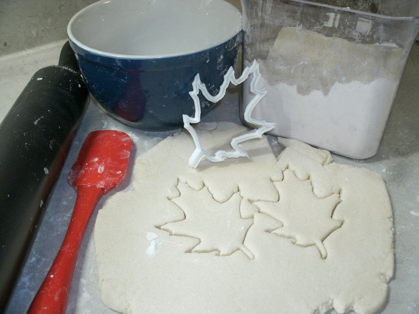 Leaves Tree Leaf Foliage Forest Trees Set Of 5 Cookie Cutters USA PR1526