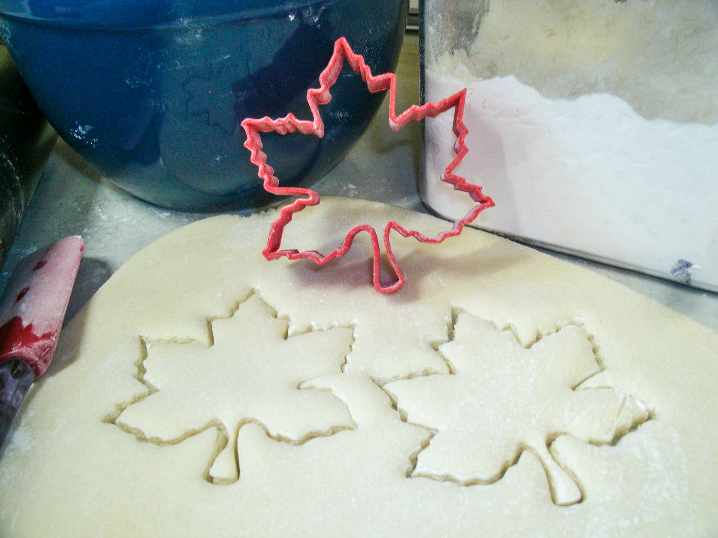 Leaves Tree Leaf Foliage Forest Trees Set Of 5 Cookie Cutters USA PR1526