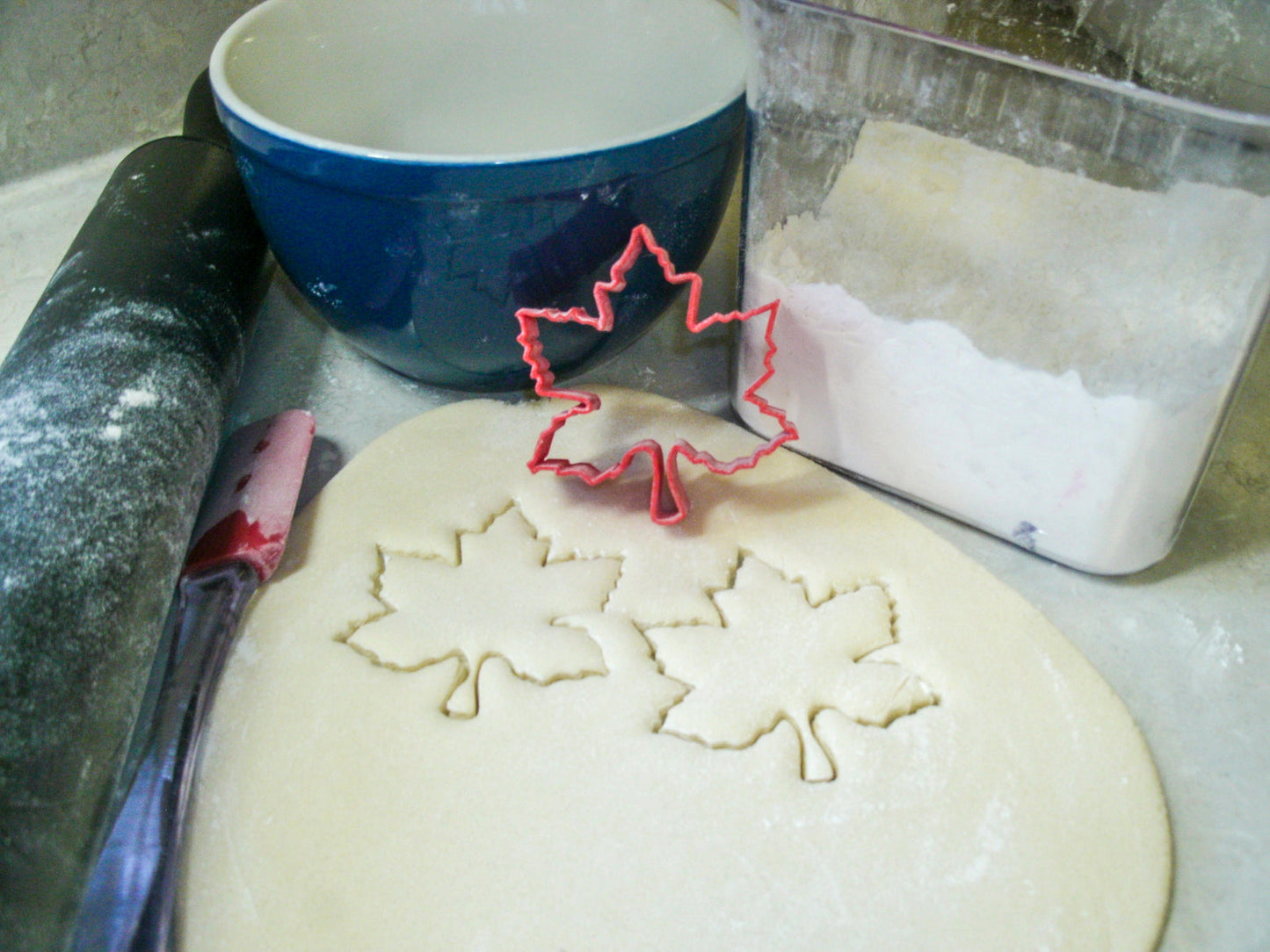 Maple Leaf Fall Season Leaves Special Occasion Cookie Cutter USA PR251