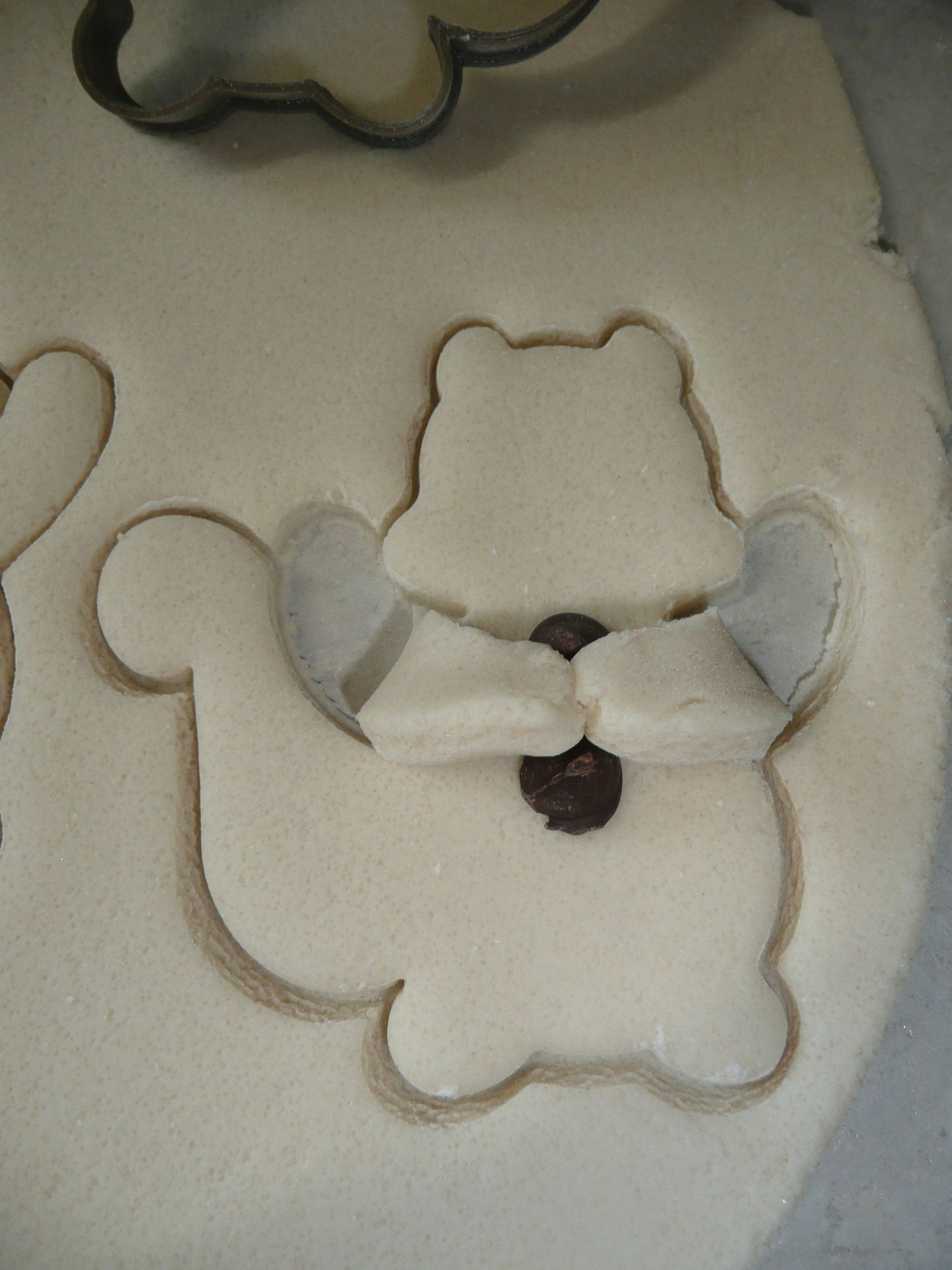 Squirrel Hugging Nut Arms Hug Cute Animal Cookie Cutter Baking Tool USA PR3769