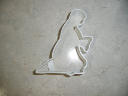 Mary Virgin Mother Of Jesus Christmas Nativity Scene Cookie Cutter USA PR2209